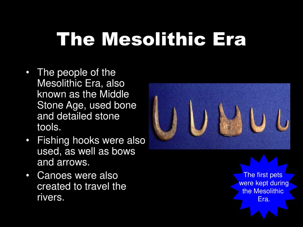 The First People Homo habilis - ppt download
